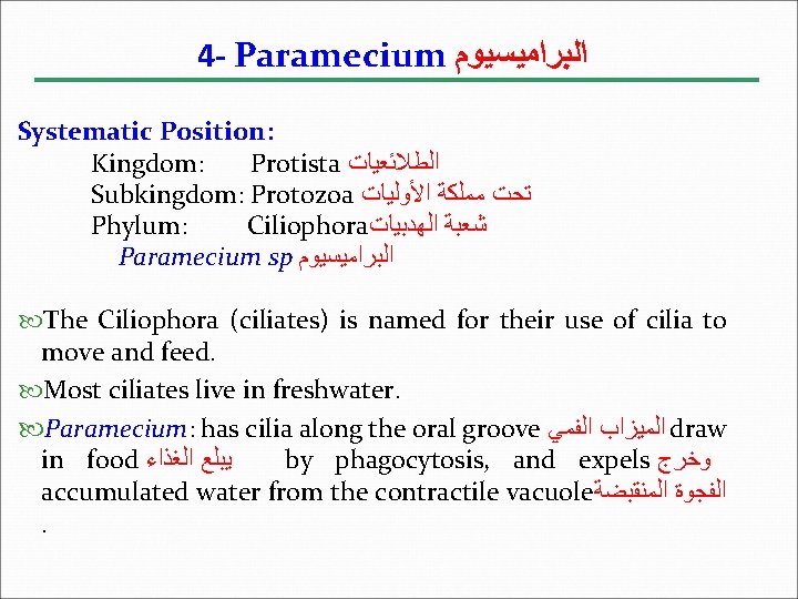 4 - Paramecium ﺍﻟﺒﺮﺍﻣﻴﺴﻴﻮﻡ Systematic Position: Kingdom: Protista ﺍﻟﻄﻼﺋﻌﻴﺎﺕ Subkingdom: Protozoa ﺗﺤﺖ ﻣﻤﻠﻜﺔ ﺍﻷﻮﻟﻴﺎﺕ
