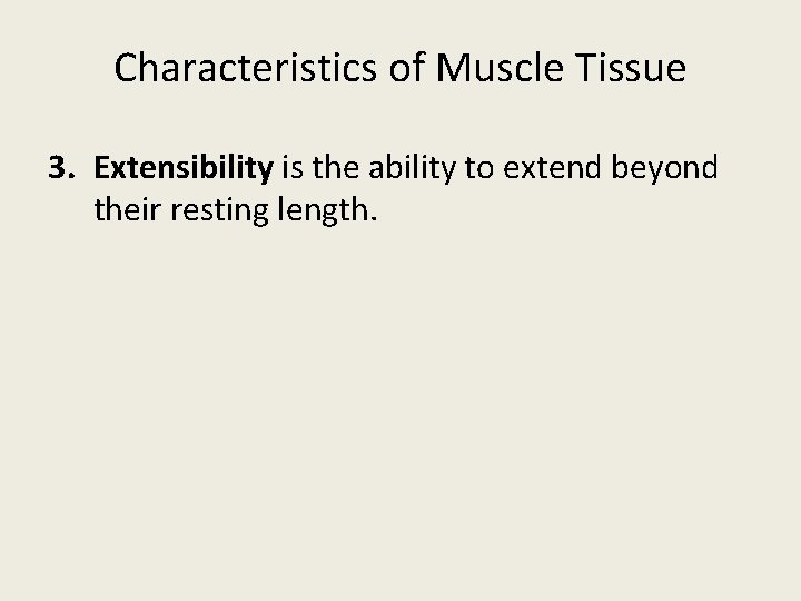 Characteristics of Muscle Tissue 3. Extensibility is the ability to extend beyond their resting