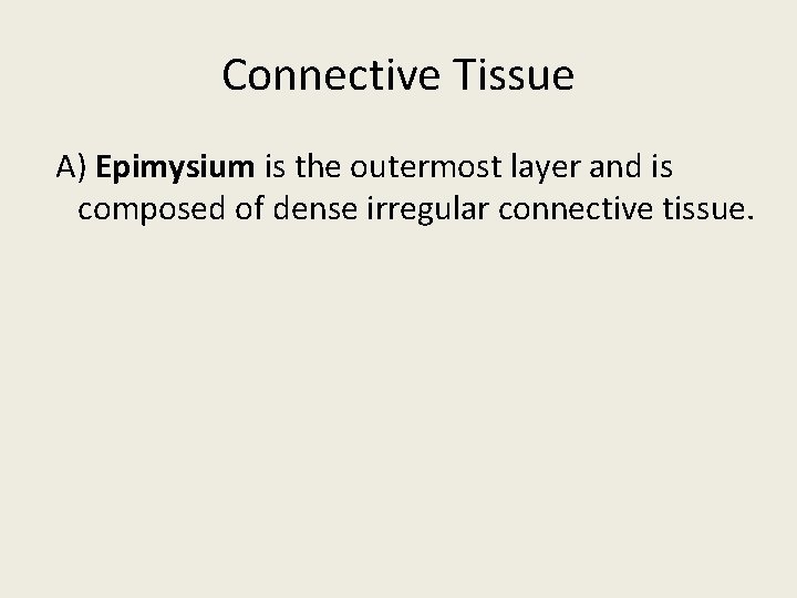 Connective Tissue A) Epimysium is the outermost layer and is composed of dense irregular