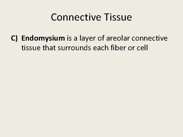 Connective Tissue C) Endomysium is a layer of areolar connective tissue that surrounds each