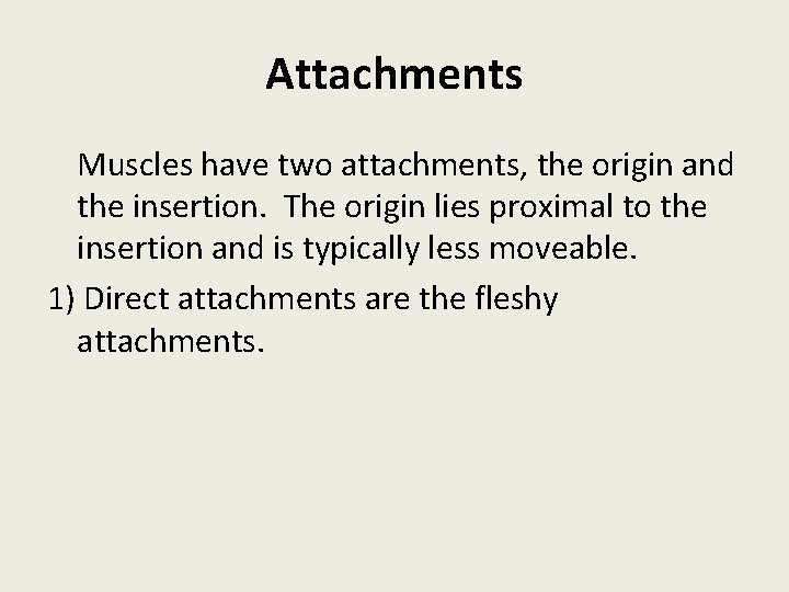 Attachments Muscles have two attachments, the origin and the insertion. The origin lies proximal