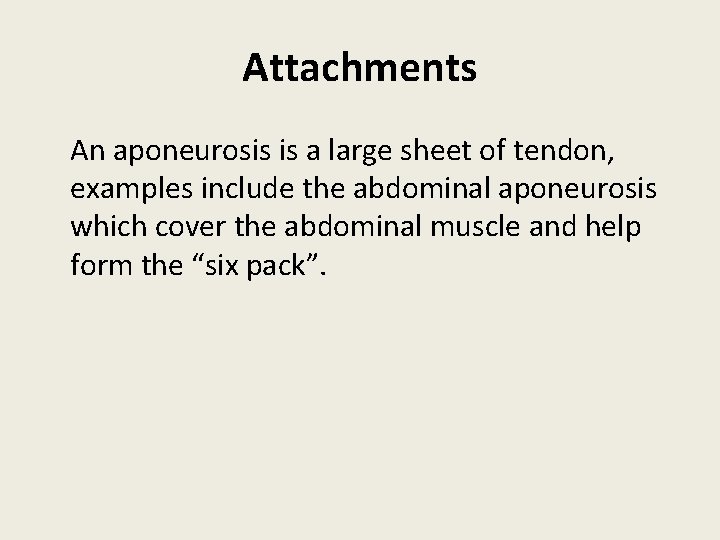 Attachments An aponeurosis is a large sheet of tendon, examples include the abdominal aponeurosis