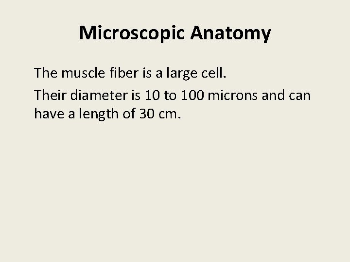Microscopic Anatomy The muscle fiber is a large cell. Their diameter is 10 to