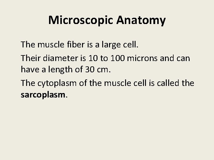 Microscopic Anatomy The muscle fiber is a large cell. Their diameter is 10 to