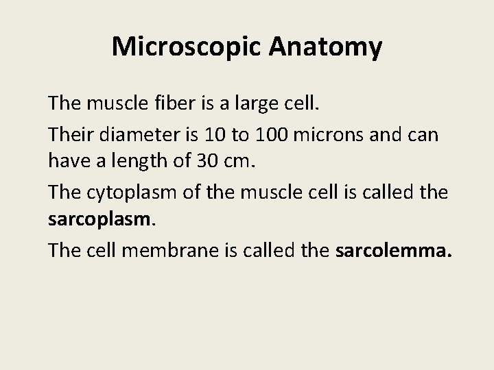 Microscopic Anatomy The muscle fiber is a large cell. Their diameter is 10 to
