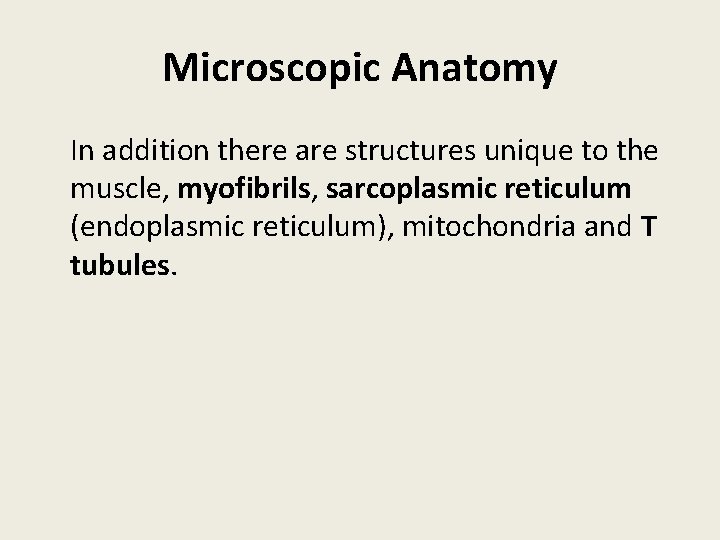 Microscopic Anatomy In addition there are structures unique to the muscle, myofibrils, sarcoplasmic reticulum