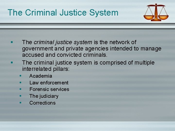 The Criminal Justice System § The criminal justice system is the network of government