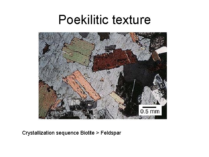 Poekilitic texture Crystallization sequence Biotite > Feldspar 
