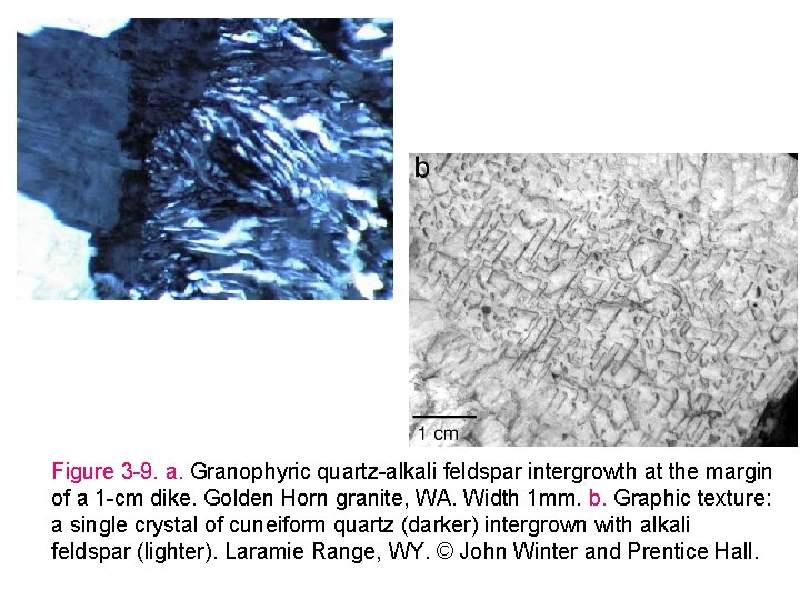 Figure 3 -9. a. Granophyric quartz-alkali feldspar intergrowth at the margin of a 1