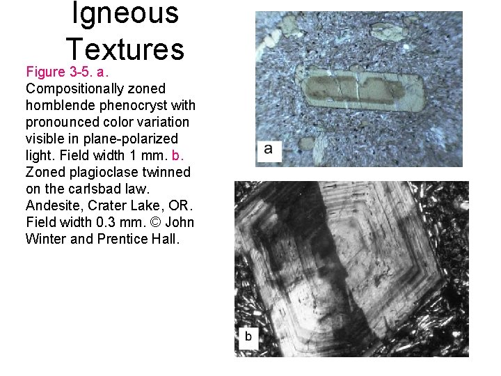 Igneous Textures Figure 3 -5. a. Compositionally zoned hornblende phenocryst with pronounced color variation