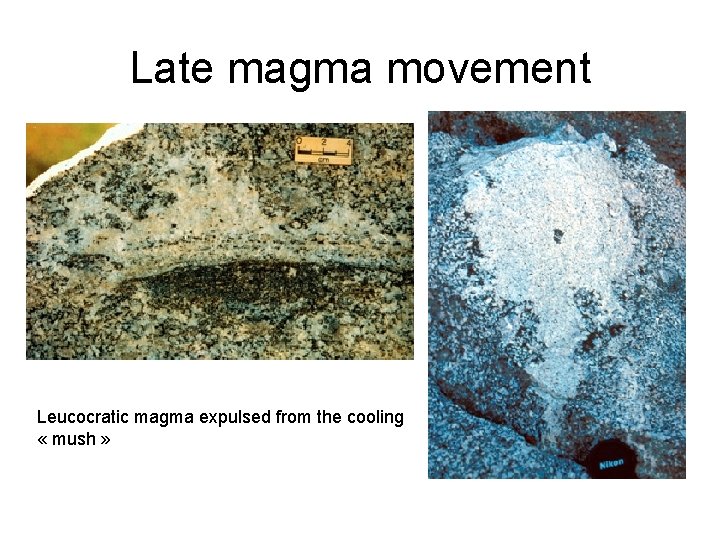 Late magma movement Leucocratic magma expulsed from the cooling « mush » 
