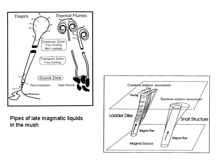 Pipes of late magmatic liquids in the mush 
