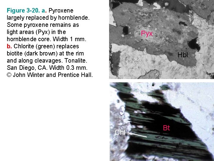 Figure 3 -20. a. Pyroxene largely replaced by hornblende. Some pyroxene remains as light