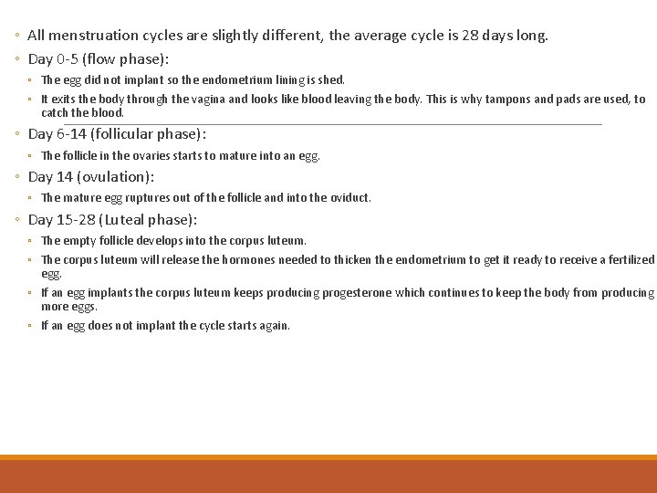 ◦ All menstruation cycles are slightly different, the average cycle is 28 days long.