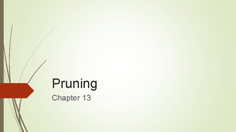 Pruning Chapter 13 