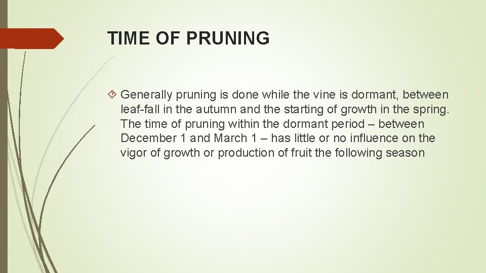 TIME OF PRUNING Generally pruning is done while the vine is dormant, between leaf-fall