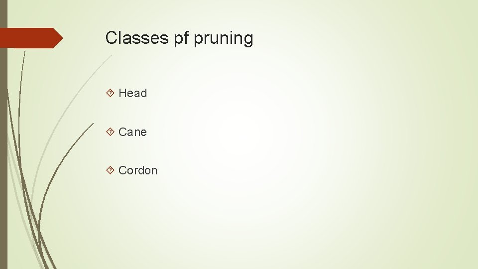 Classes pf pruning Head Cane Cordon 