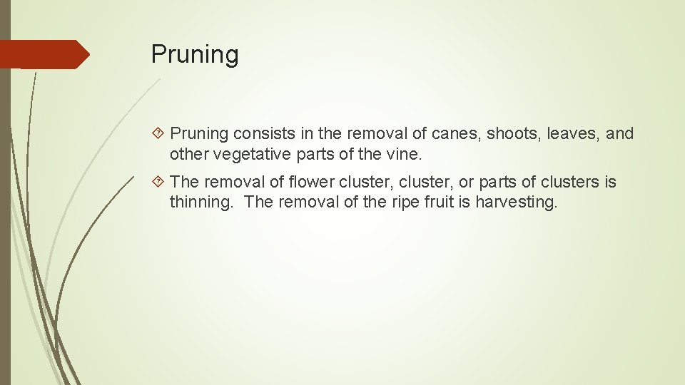 Pruning consists in the removal of canes, shoots, leaves, and other vegetative parts of