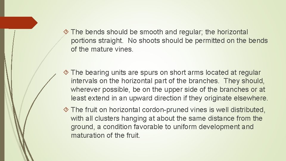  The bends should be smooth and regular; the horizontal portions straight. No shoots