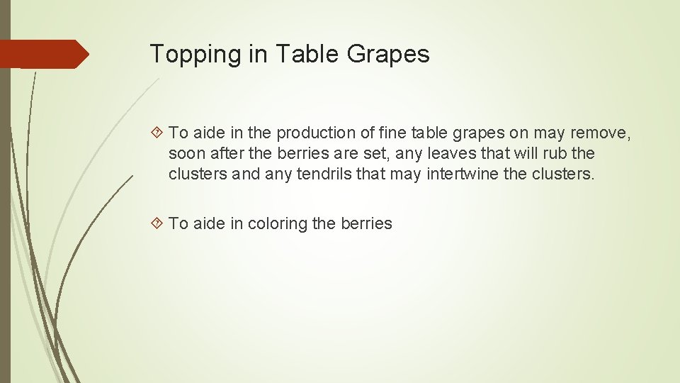 Topping in Table Grapes To aide in the production of fine table grapes on