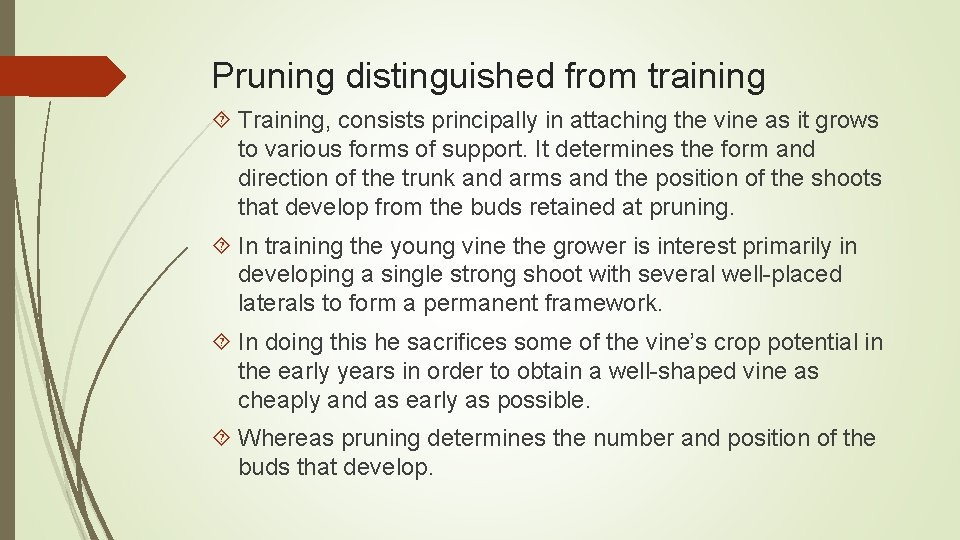 Pruning distinguished from training Training, consists principally in attaching the vine as it grows