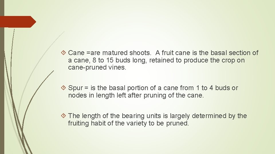  Cane =are matured shoots. A fruit cane is the basal section of a