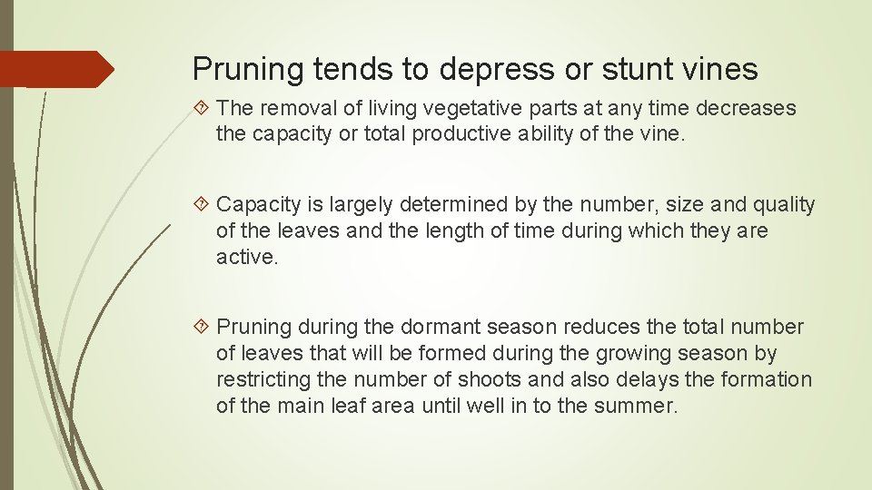 Pruning tends to depress or stunt vines The removal of living vegetative parts at