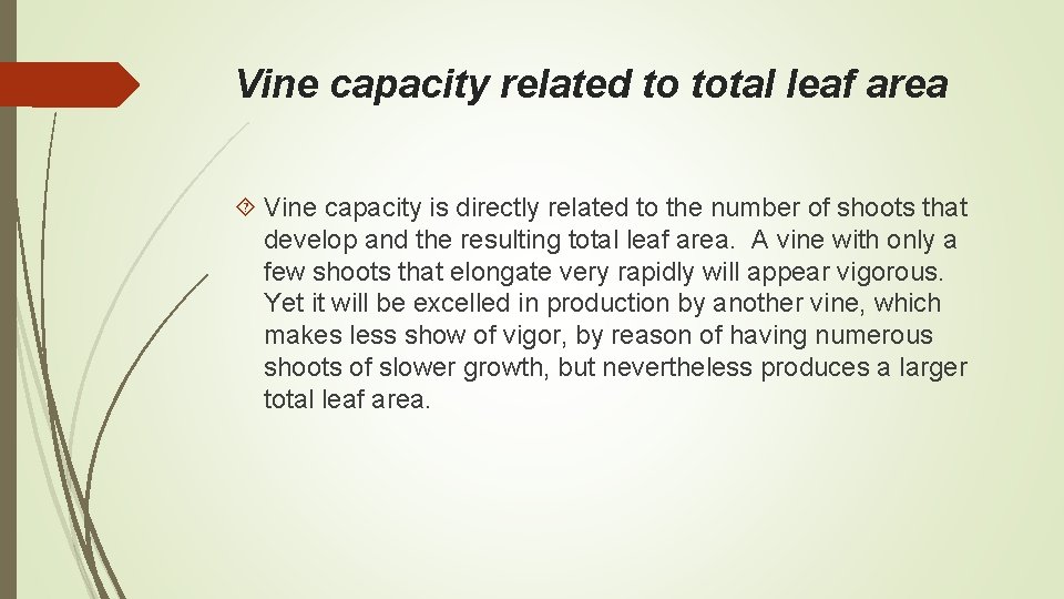 Vine capacity related to total leaf area Vine capacity is directly related to the