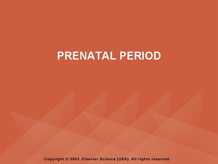 PRENATAL PERIOD 