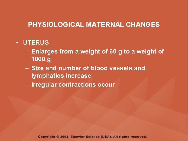 PHYSIOLOGICAL MATERNAL CHANGES • UTERUS – Enlarges from a weight of 60 g to