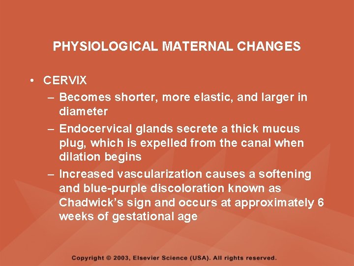 PHYSIOLOGICAL MATERNAL CHANGES • CERVIX – Becomes shorter, more elastic, and larger in diameter