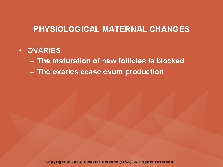 PHYSIOLOGICAL MATERNAL CHANGES • OVARIES – The maturation of new follicles is blocked –