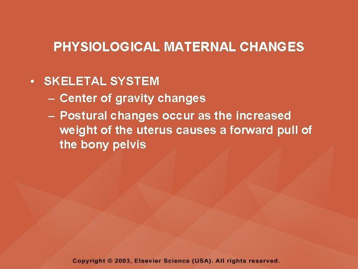 PHYSIOLOGICAL MATERNAL CHANGES • SKELETAL SYSTEM – Center of gravity changes – Postural changes