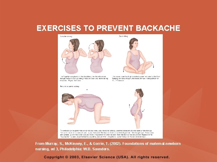 EXERCISES TO PREVENT BACKACHE From Murray, S. , Mc. Kinney, E. , & Gorrie,