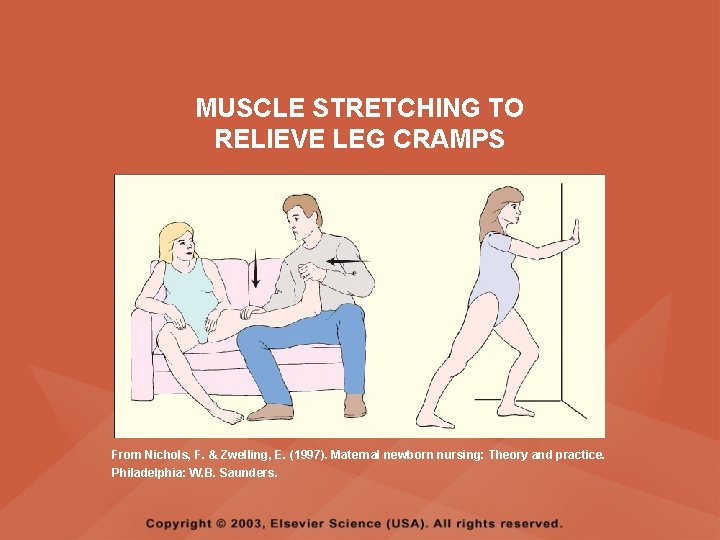 MUSCLE STRETCHING TO RELIEVE LEG CRAMPS From Nichols, F. & Zwelling, E. (1997). Maternal