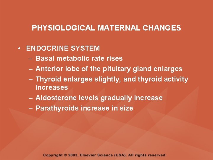 PHYSIOLOGICAL MATERNAL CHANGES • ENDOCRINE SYSTEM – Basal metabolic rate rises – Anterior lobe