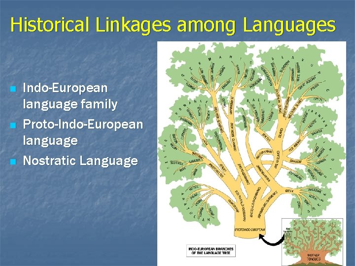 Historical Linkages among Languages n n n Indo-European language family Proto-Indo-European language Nostratic Language
