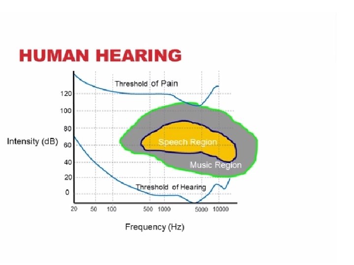 Human Hearing • SS 8: 29 