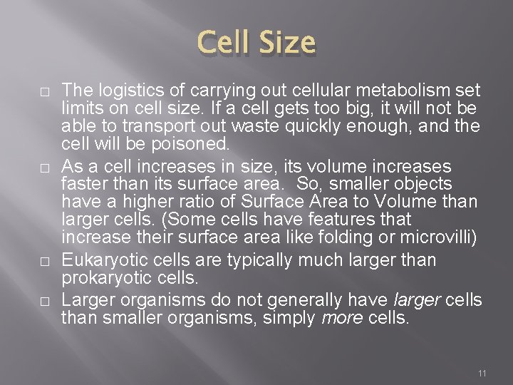 Cell Size � � The logistics of carrying out cellular metabolism set limits on