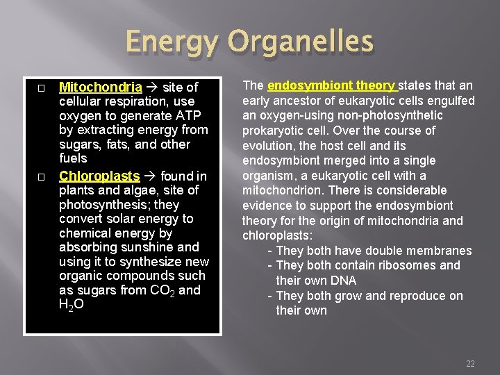 Energy Organelles � � Mitochondria site of cellular respiration, use oxygen to generate ATP