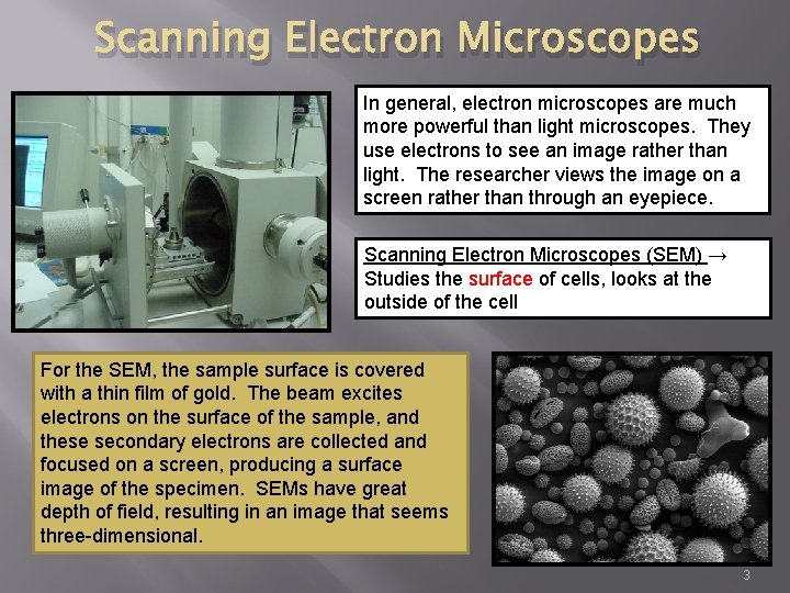 Scanning Electron Microscopes In general, electron microscopes are much more powerful than light microscopes.