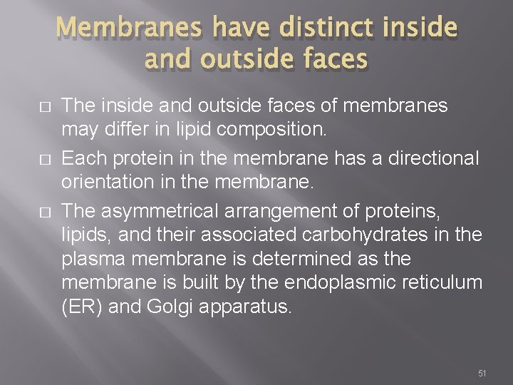 Membranes have distinct inside and outside faces � � � The inside and outside
