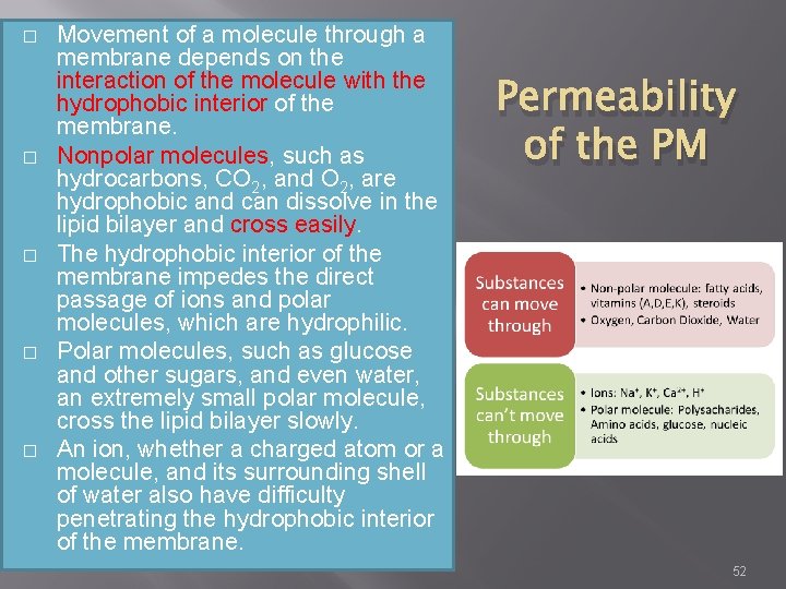 � � � Movement of a molecule through a membrane depends on the interaction