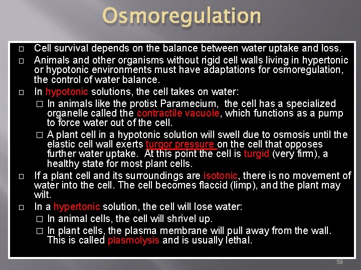 Osmoregulation � � � Cell survival depends on the balance between water uptake and