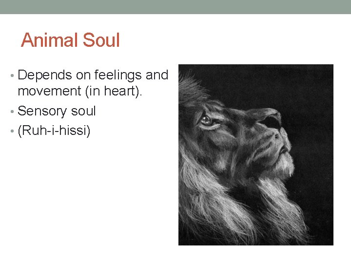 Animal Soul • Depends on feelings and movement (in heart). • Sensory soul •