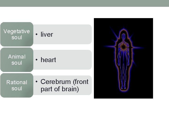 Vegetative soul • liver Animal soul • heart Rational soul • Cerebrum (front part