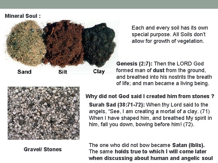 Mineral Soul : Each and every soil has its own special purpose. All Soils