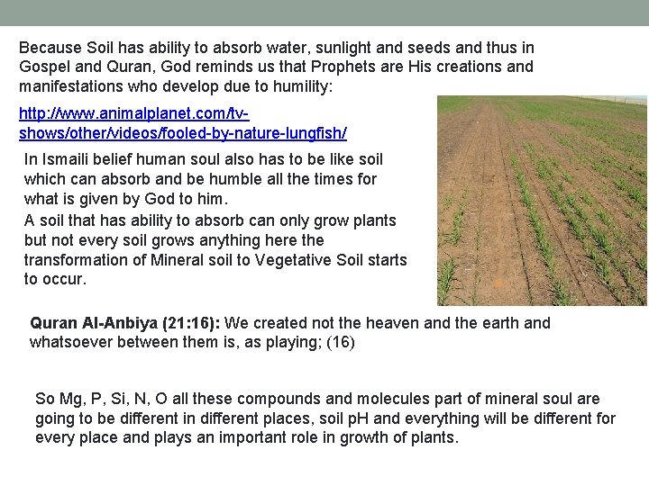 Because Soil has ability to absorb water, sunlight and seeds and thus in Gospel