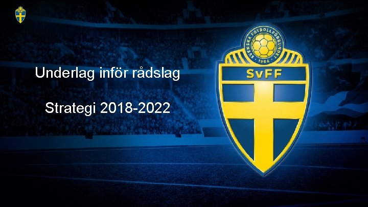  Underlag inför rådslag Strategi 2018 -2022 