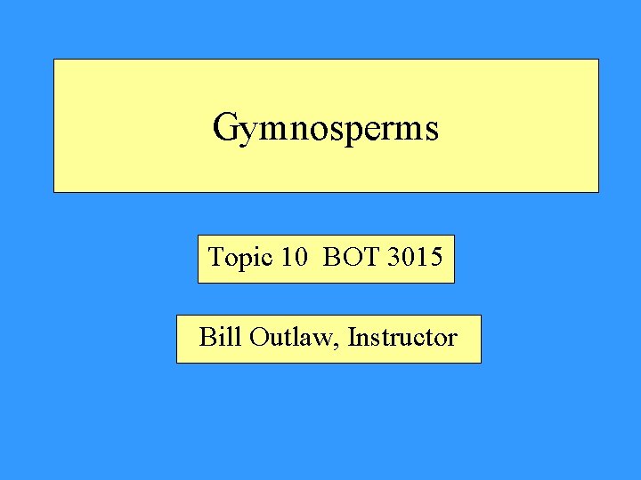 Gymnosperms Topic 10 BOT 3015 Bill Outlaw, Instructor 